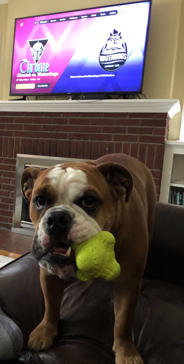 frigenny's tweet photo. @PLLWaterdogs @PFTCommenter Game day ready. https://t.co/rkzvNF00yz