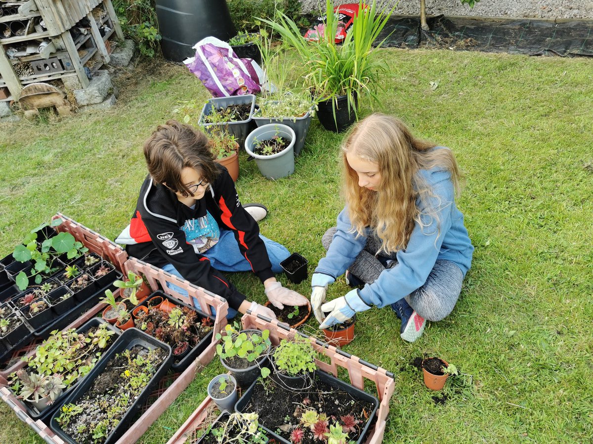 Chorley Ronin ESU (@roninexplorers) on Twitter photo Fantastic #teamwork this week
#roninesu #volunteering with <a href="/ChorleyInBloom/">ChorleyInBloom</a> #gardening #community #chorley #ediblegarden #communitygarden <a href="/chorleyexplorer/">Chorley Explorers</a> <a href="/WestLancsScouts/">West Lancs Scouts</a> #explorersdogood Fantastic #teamwork this week
#roninesu #volunteering with <a href="/ChorleyInBloom/">ChorleyInBloom</a> #gardening #community #chorley #ediblegarden #communitygarden <a href="/chorleyexplorer/">Chorley Explorers</a> <a href="/WestLancsScouts/">West Lancs Scouts</a> #explorersdogood