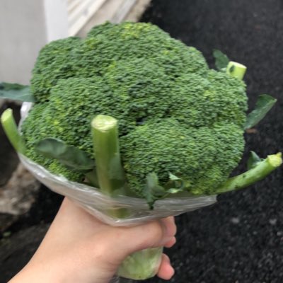 山崎未来 にんげんだもの Yamamiku1230 Twitter 山崎未来 にんげんだもの Yamamiku1230 Twitter