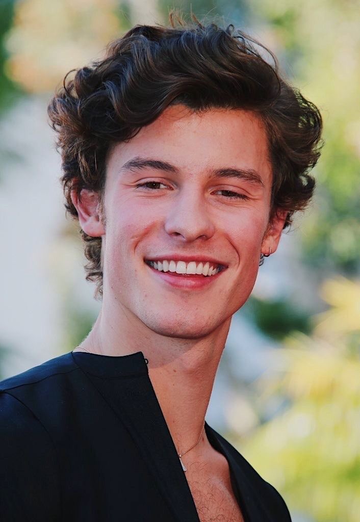 wondermendess's tweet photo. just appreciate shawn's smile. https://t.co/cDcEW75U20