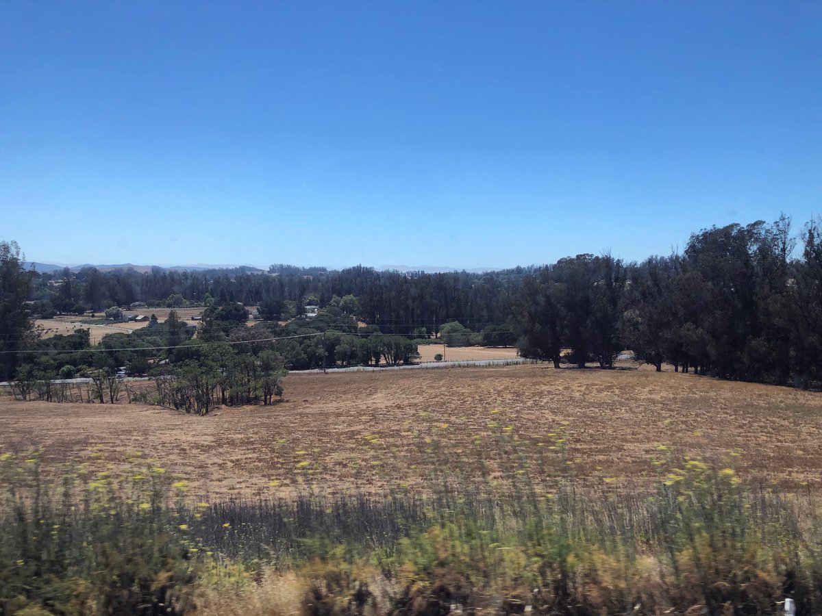 TheFamilyAliens's tweet photo. It does indeed look like we’re doing another #FogCheck #HillCheck #TreeCheck #BlockCheck, here in Clover Sonoma dairy country. https://t.co/f29lO3dDi3