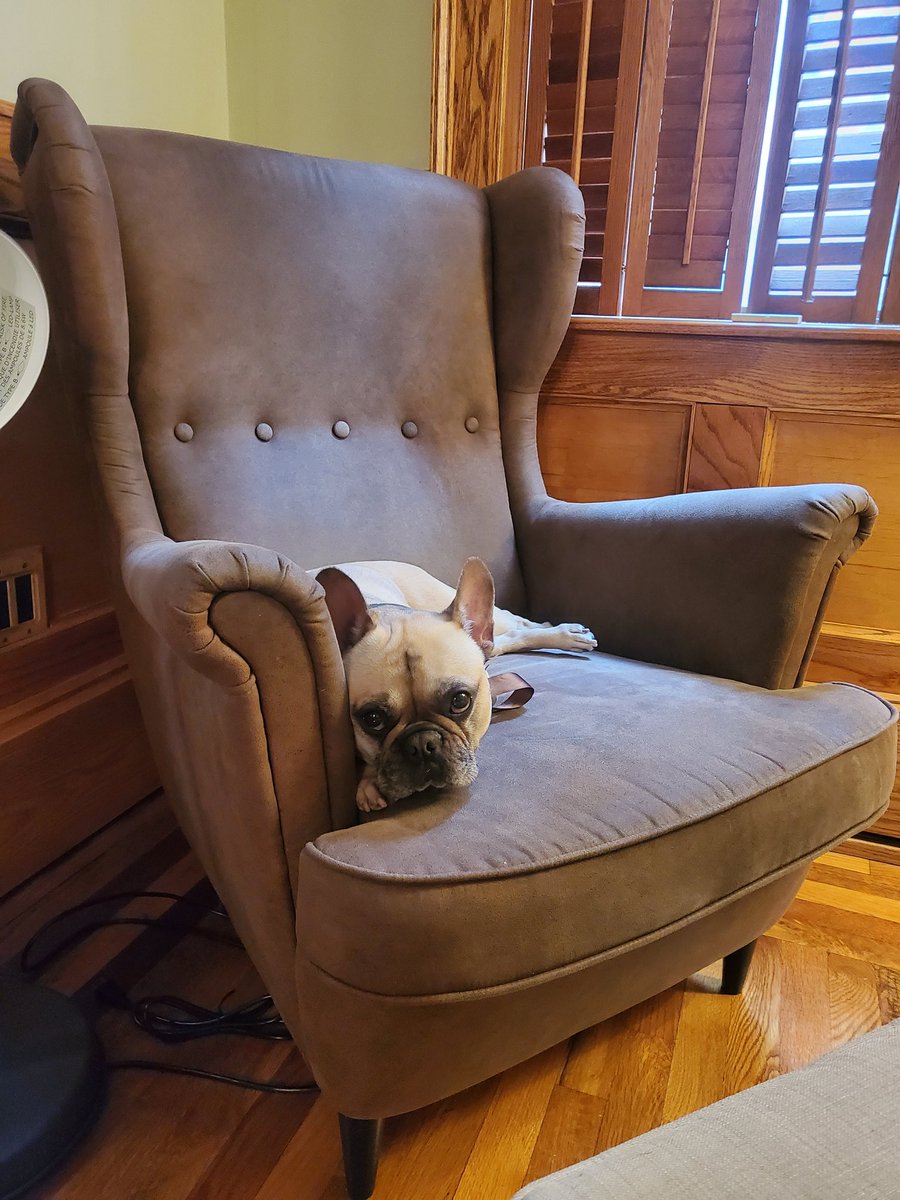 smaskell works from home tweet media