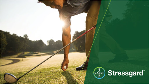EnvuGolfUS's tweet photo. Your golfers want a greener course. You want a little more time in your day. Stressgard® goes beyond disease control to deliver both, offering improved turf health and consistency and giving you more time to do the things you love. Learn more: https://t.co/6mcUXWhpfx https://t.co/nLp4Ibguiv