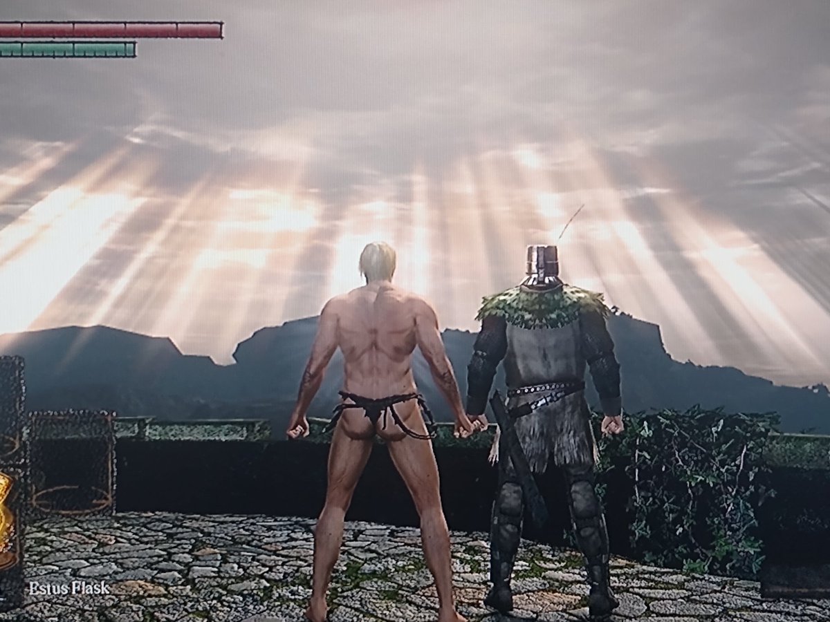 vert🌲 tweet media