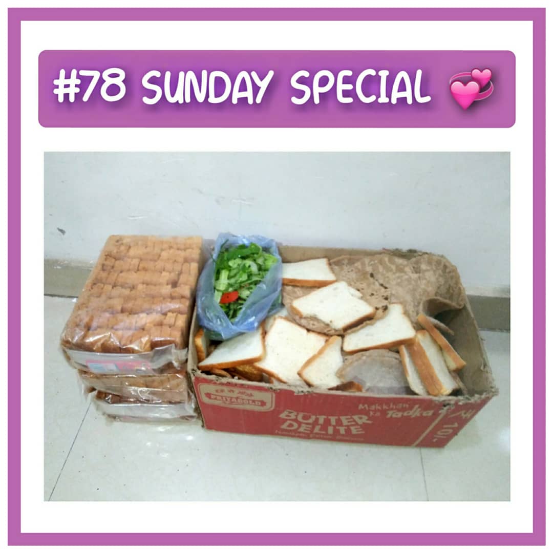 the_oscar_fdn's tweet photo. #78 SUNDAY SPECIAL💛
Your love & support makes this possible. We are low on funds do help us to continue our feeding program for these innocent souls.
If u want donate us then DM us
@the_oscar_fdn
.
#sundayspecial #sunday #WefeedEveryday #theoscarfoundation #animalwelfareindia https://t.co/NWlsQXDzwC
