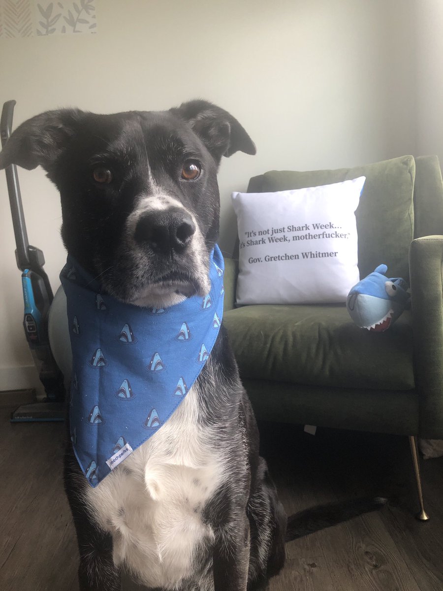 In the immortal words of <a href="/GovWhitmer/">Governor Gretchen Whitmer</a>, it’s #SharkWeek motherf***ers!!