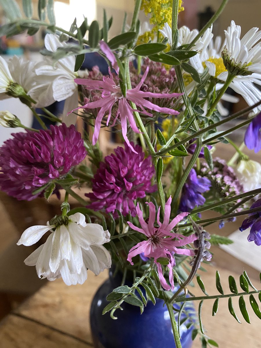 ScentedForager's tweet photo. #FlowerReport #westernisles. P ID please ( @TheFlowerFarmer) in my wild #machair posy - to the left, the white chrysanthemum in style, next to the red clover & ragged robin( no yellow)Plus a Rosa rugosa fest #scented pancakes and wild confetti #foragerskitchen https://t.co/oDuxoGNCdO