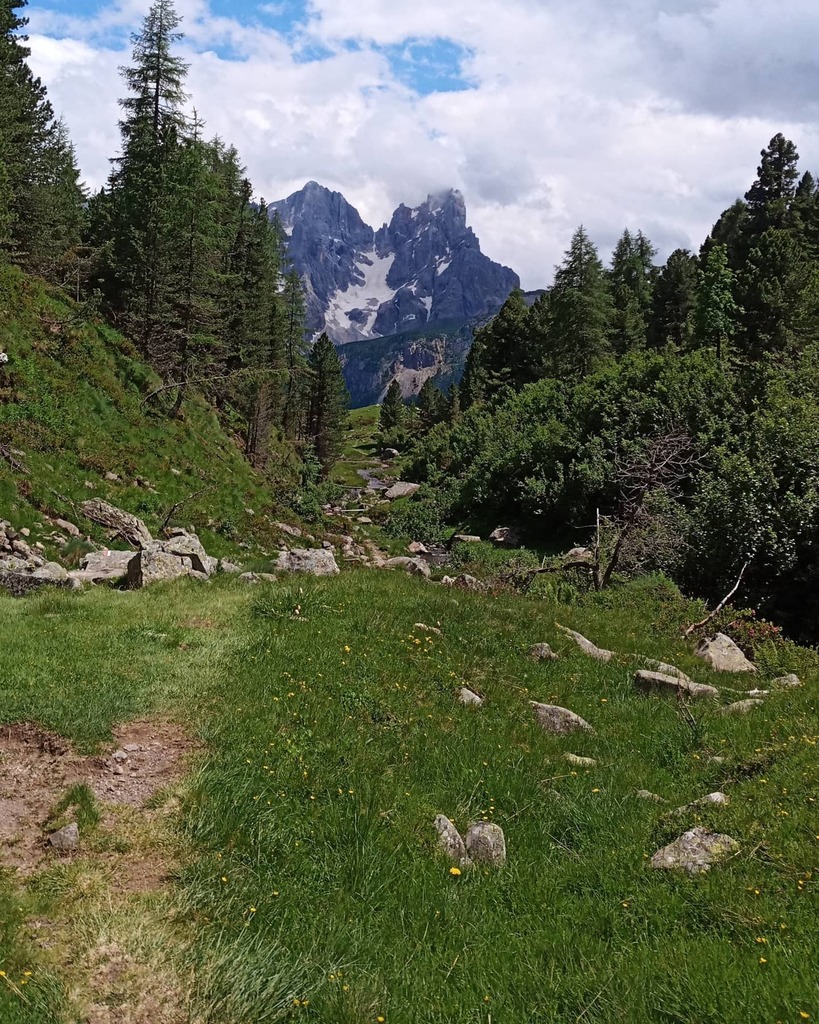 iogenovese's tweet photo. Oggi bellissima escursione ad anello dal passo valles al lago juribrutto con vista sulle Pale di san Martino https://t.co/gzYdvqIOde https://t.co/ENzuygGqAA