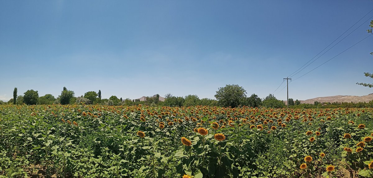 "ruhumda kaynar adımlarla gezinen dünya."