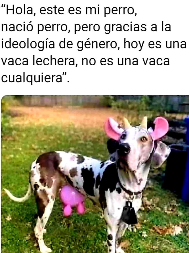 Cedu691's tweet photo. Esa estupidez no resiste el menor análisis 🤷🏻‍♂️ https://t.co/rmuWDzt8Vd