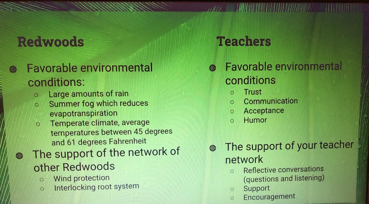 Mr_A_Perez's tweet photo. We are able to reach our full potential when we are connected &amp; supported. Well said @MsFielding you and @Angelia73Ebner are amAZing! Loved your analogy!

#NBCTstrong https://t.co/ovvXoyVlwh