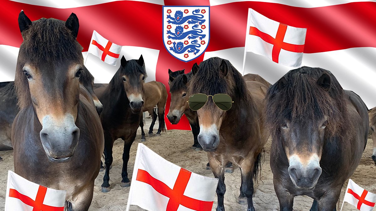 Come on @England #england #Euro2020Final #EURO2020   #ENG  ⚽😀❤🙏 🏴󠁧󠁢󠁥󠁮󠁧󠁿🇬🇧
 #ThreeLions  #euros2021 #football #EnglandFootballTeam