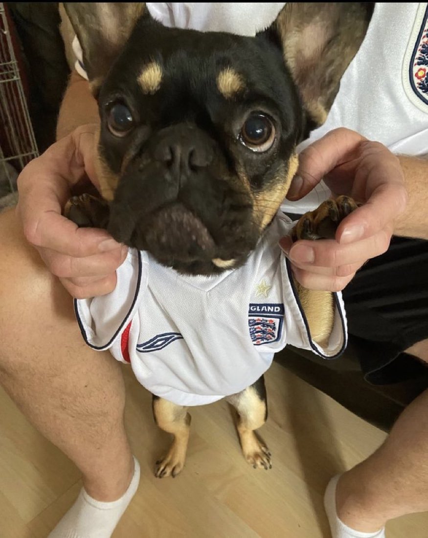mrsmuls's tweet photo. @SkySportsNews 

BUDDY
Welwyn Garden City https://t.co/QmRBRNO2ih