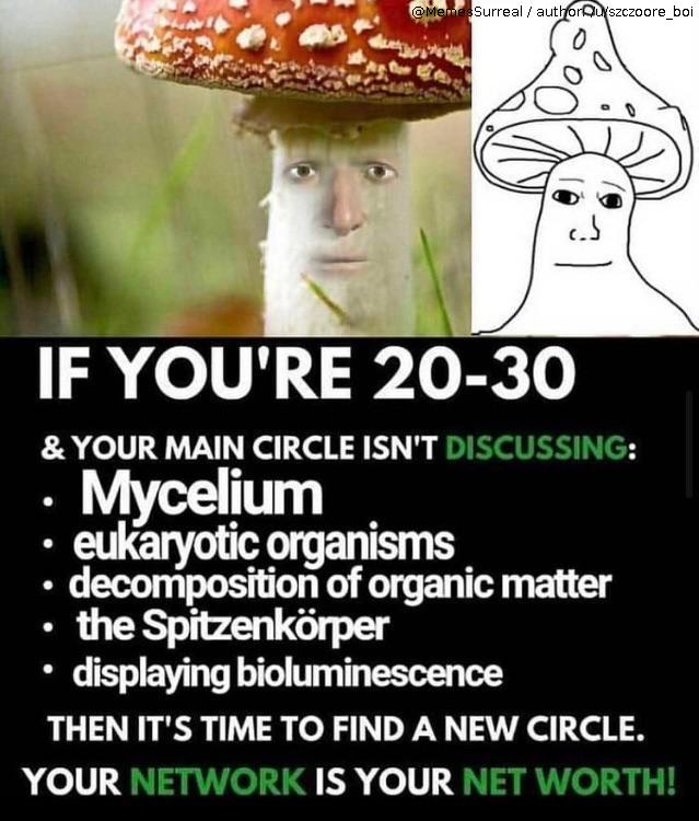 Shroomer
