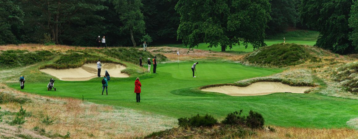 NGF (@ngf_) on Twitter photo Natuur 🌳 en golf ⛳ gaan uitstekend samen. Dat werd duidelijk in <a href="/GOLFNL/">GOLF.NL ⛳️</a> LIVE op dag 2 van het #BigGreenEggOpen <a href="/Rosendaelsche/">Rosendaelsche Golfclub</a> GC 🎥 💻 ➡️ bit.ly/3wuyCgW Natuur 🌳 en golf ⛳ gaan uitstekend samen. Dat werd duidelijk in <a href="/GOLFNL/">GOLF.NL ⛳️</a> LIVE op dag 2 van het #BigGreenEggOpen <a href="/Rosendaelsche/">Rosendaelsche Golfclub</a> GC 🎥 💻 ➡️ bit.ly/3wuyCgW