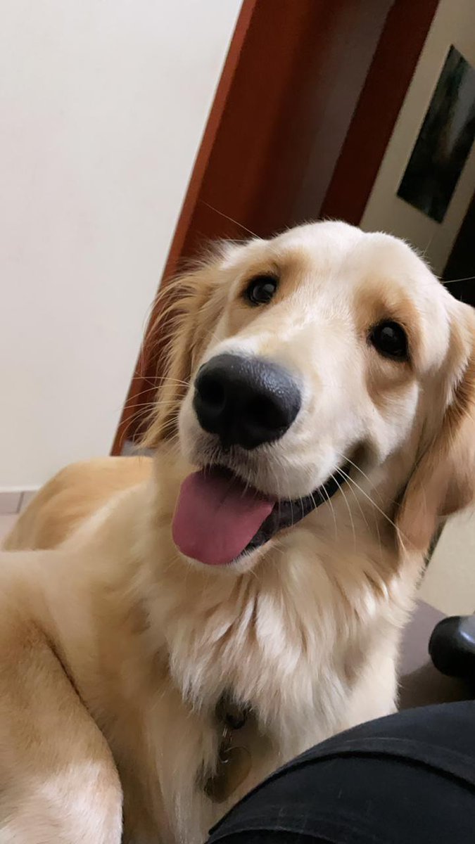 BelelaMonascal's tweet image. Cuando no se puede ser más hermosa ❤️