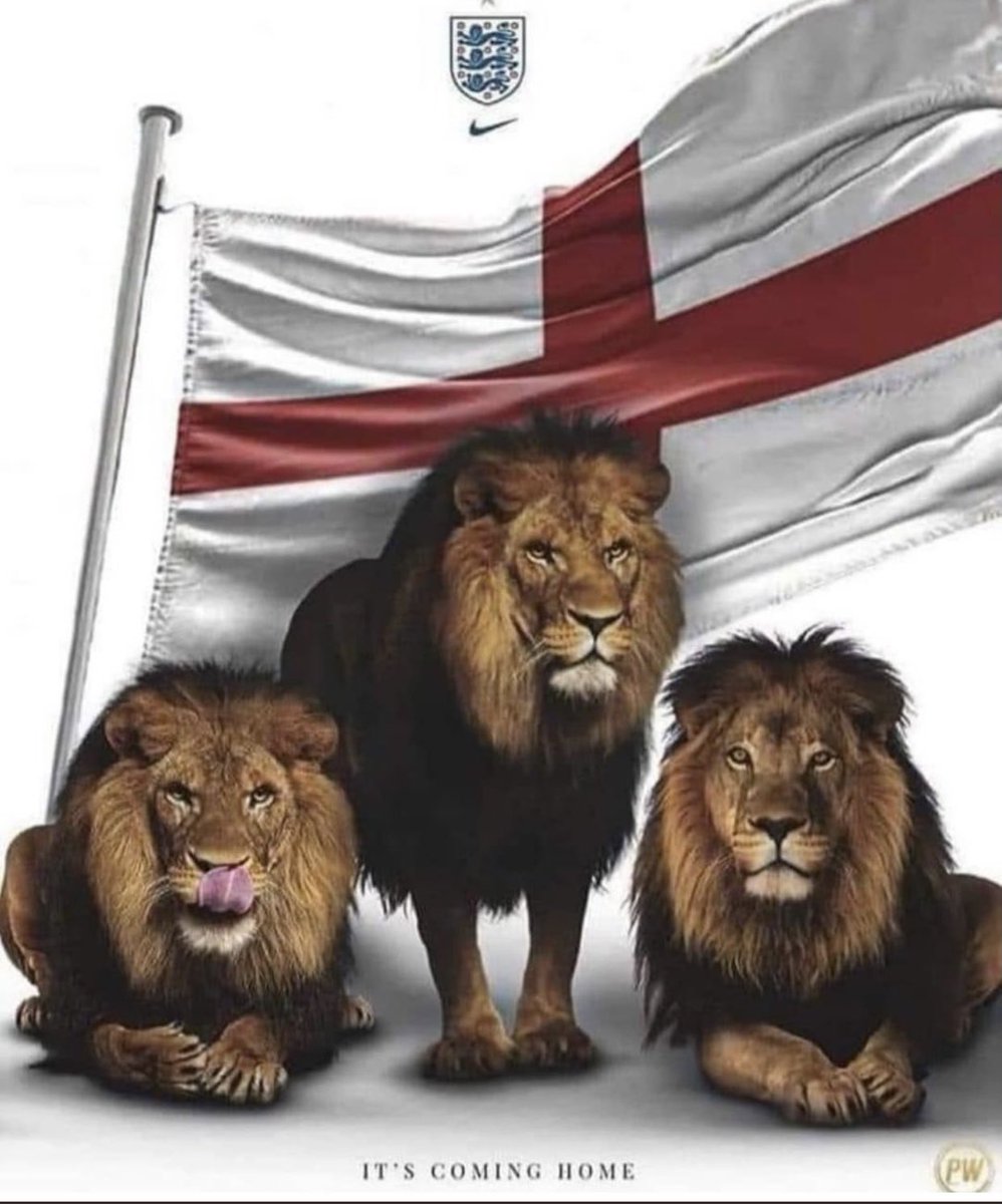 Let’s Roar Boys.!!!! #ComeOnEngland #ThreeLions 💪👍#1