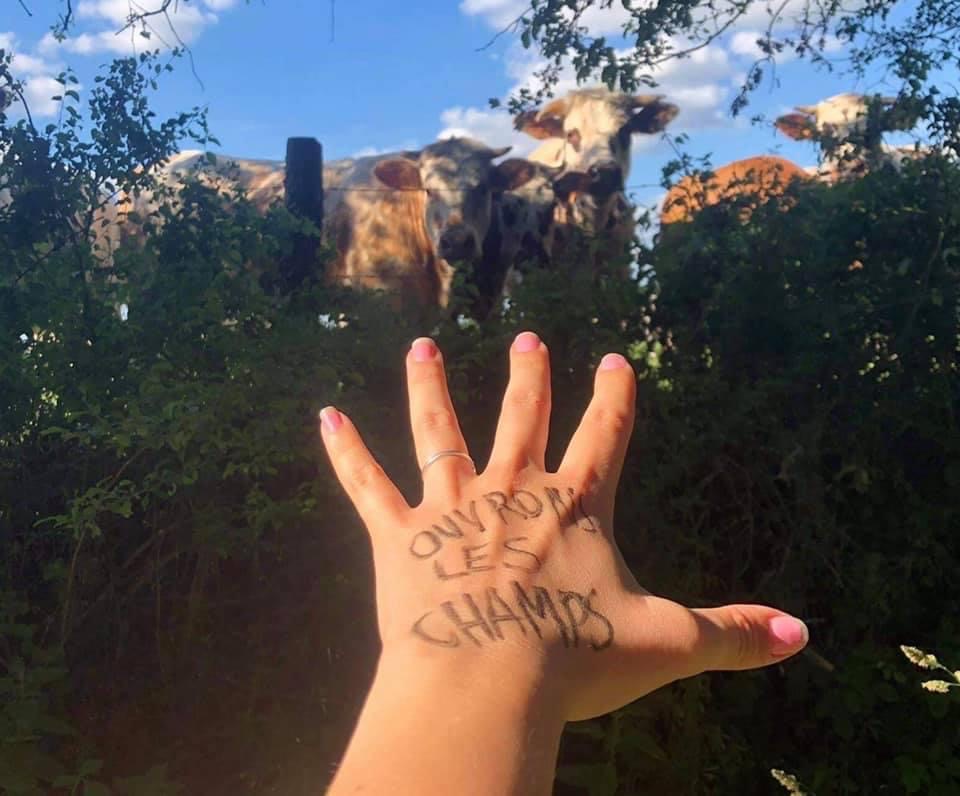 ENDHUSBANDRYNOW's tweet image. OUVRONS LES CHAMPS
#HandsToEndHusbandry #Endhusbandry #OpenTheFarms
Oppose YOUR hand for billions of paws NOW! Go, Go, Go!
You will find full user manual in your language : boucherie-abolition.com/2021/03/10/man…

Add your contribution to the map : umap.openstreetmap.fr/fr/map/hands-t…