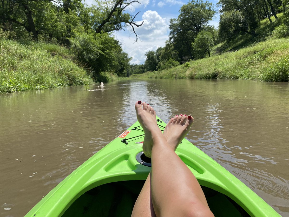 Anne Pudenz tweet media