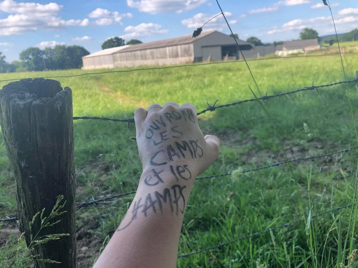 ENDHUSBANDRYNOW's tweet image. OUVRONS LES CAMPS ET LES CHAMPS
#HandsToEndHusbandry #Endhusbandry #OpenTheFarms
Oppose YOUR hand for billions of paws NOW! Go, Go, Go!
You will find full user manual in your language : boucherie-abolition.com/2021/03/10/man…

Add your contribution to the map : umap.openstreetmap.fr/fr/map/hands-t…