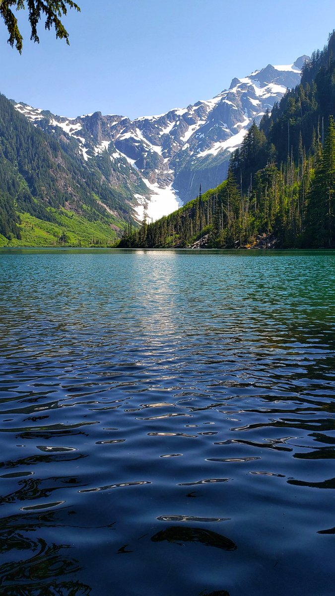 'Deep within the heart of the earth and the marrow of the bones is a compass that quivers to the power of love' Elizabeth Lesser
#loveisallthatmatters #hikingadventures #nature #pnw #photographytwitter #outdoors #hiking #ClimateCrisis #timetoplay #naturelovers #sundayvibes