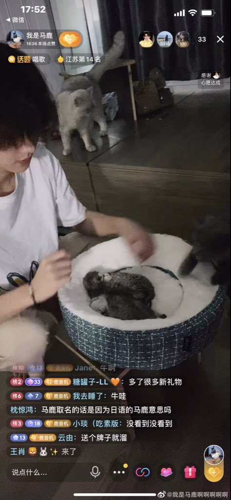 MALUFILE's tweet photo. 210712 weibo
“全家福！”
#MaLu #马鹿 #明日之子5 #TCO5 #TheComingOne5 https://t.co/gB85HxGAMT