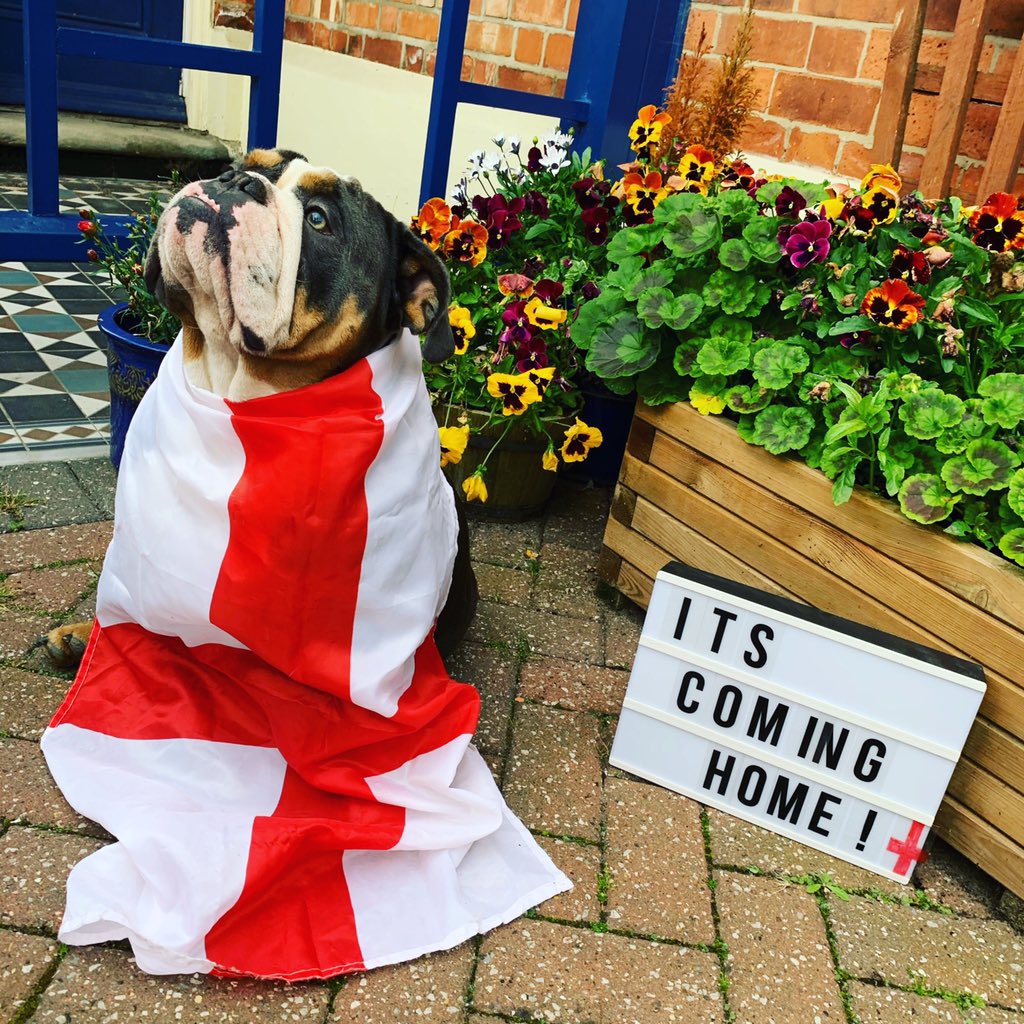 @GaryLinkeker <a href="/BBCSport/">BBC Sport</a> <a href="/bbcemt/">BBC East Midlands</a> look at Frank Bullitt, if he says #ItsComingHome then #ItsComingHome #ComeOnEngland