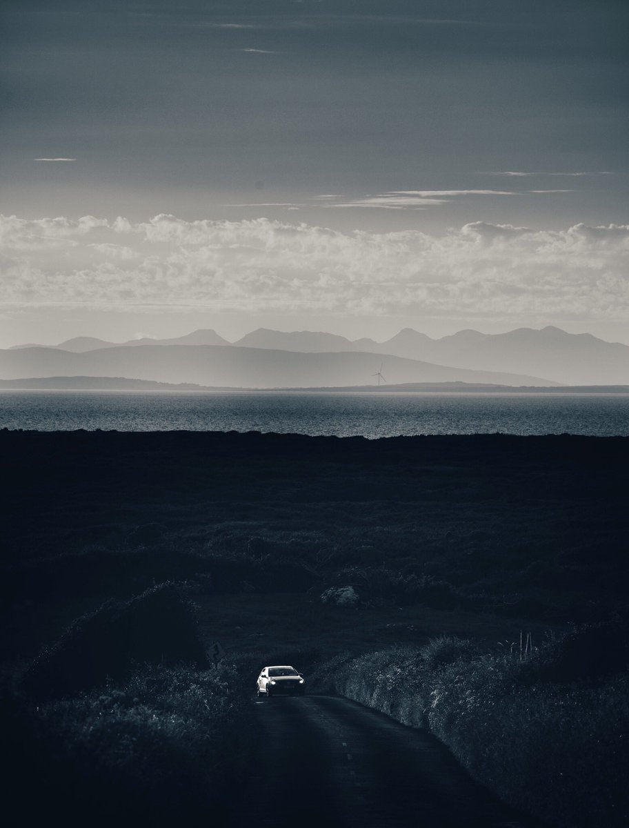 Elaine Farrell Photography tweet media