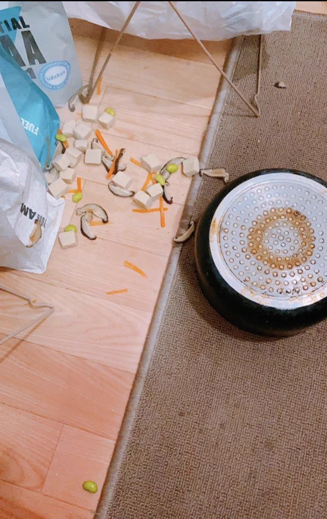 @mangos_neko 人生楽しい！！！！ 