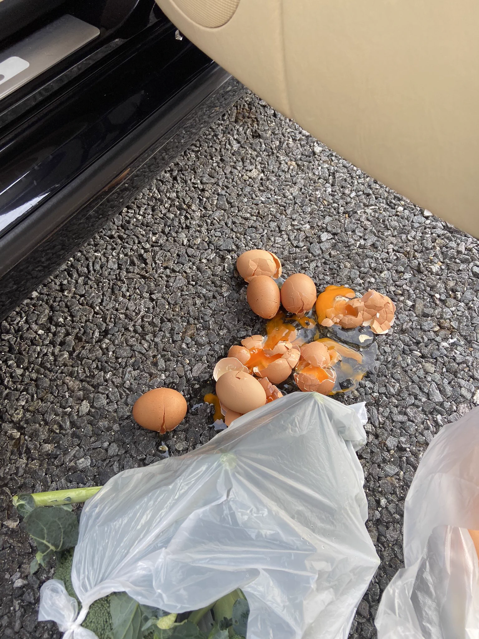 @mangos_neko 人生って楽しｨ 