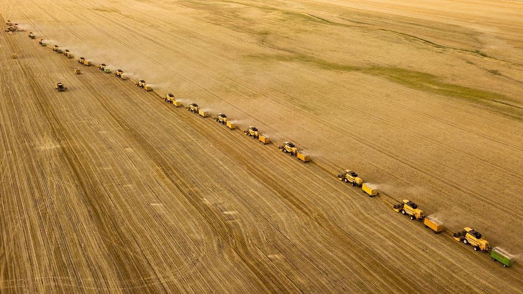 Muş ova'sın da buğday hasatı ⚘⚘
