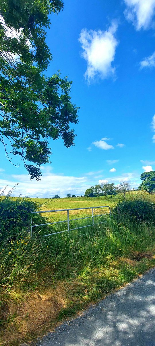 Rural Ireland in glorious sunshine. @angie_weather @geoff_maskell @todayInIreland #rurallife #irelandtravel #travelingphotographer #photooftheday