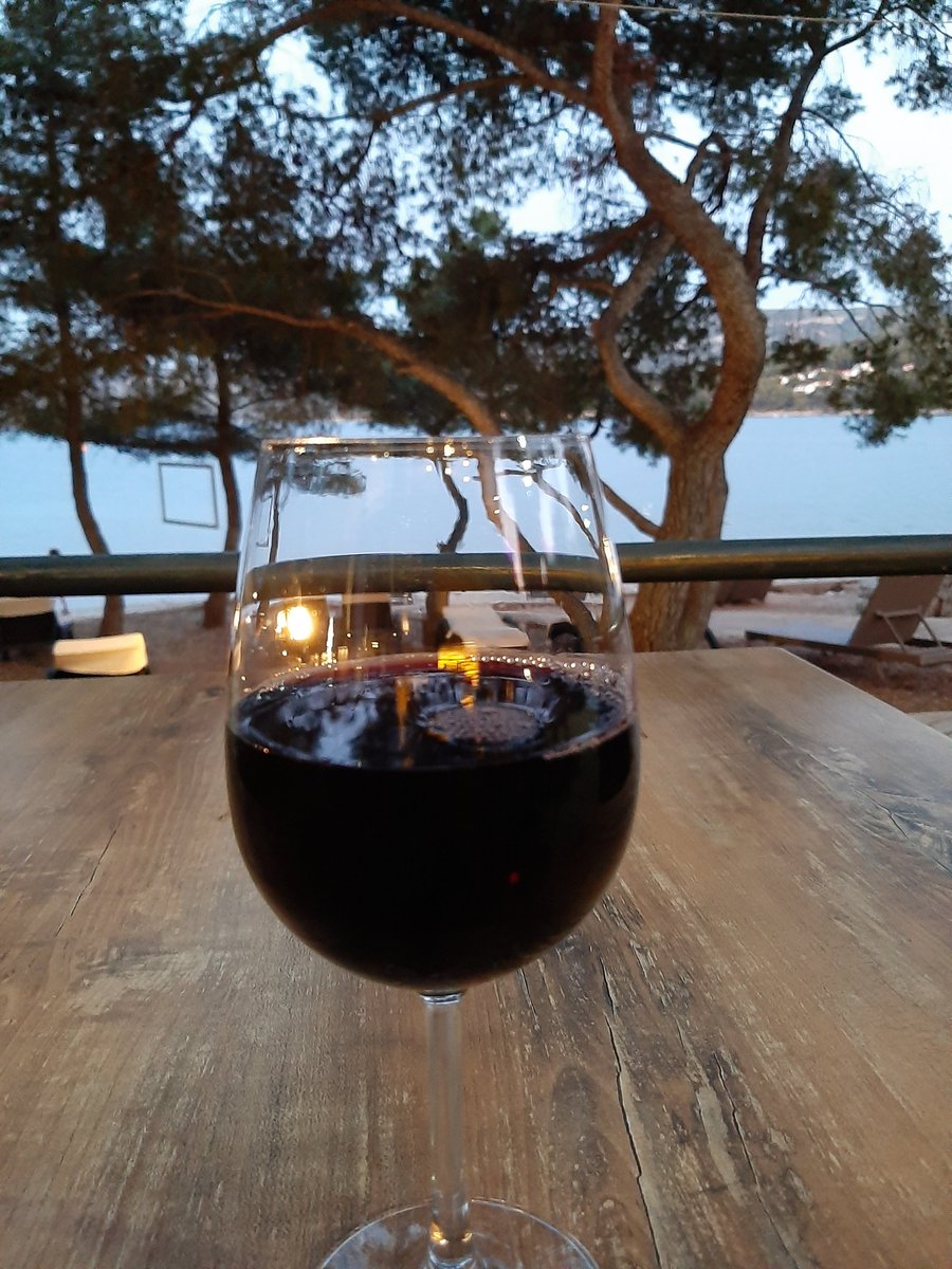 vannci's tweet photo. I have no complaints. I am complaintless. https://t.co/N0Pkjqcokn