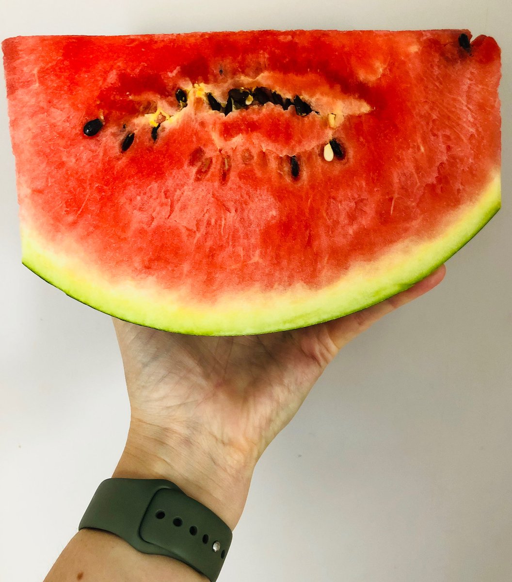 BloomNutrition's tweet photo. 🍉 watermelon 🍉 https://t.co/JZxi59OILa