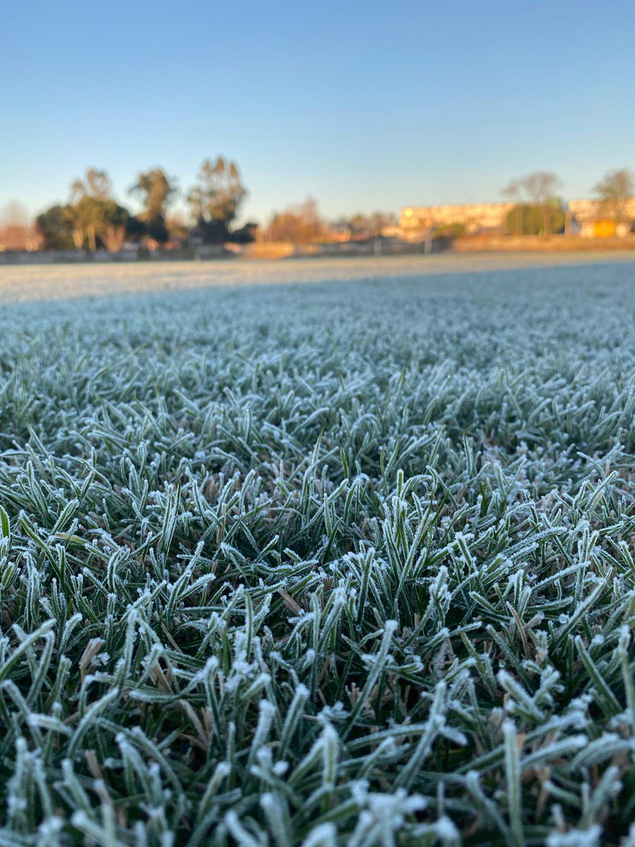 EL CHORRO F.C. tweet media