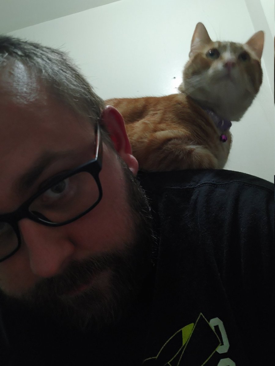 dragon_asmr's tweet photo. I became a cat bed...
Tune in this Tuesday at 5PM EST for a Fantasy Animal Adoption Agency video!! #ASMR https://t.co/r97KhzPox8