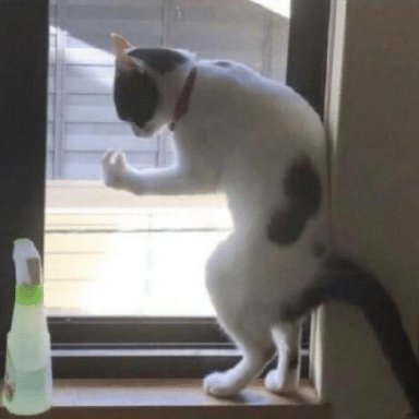 Julien⚜ tweet media