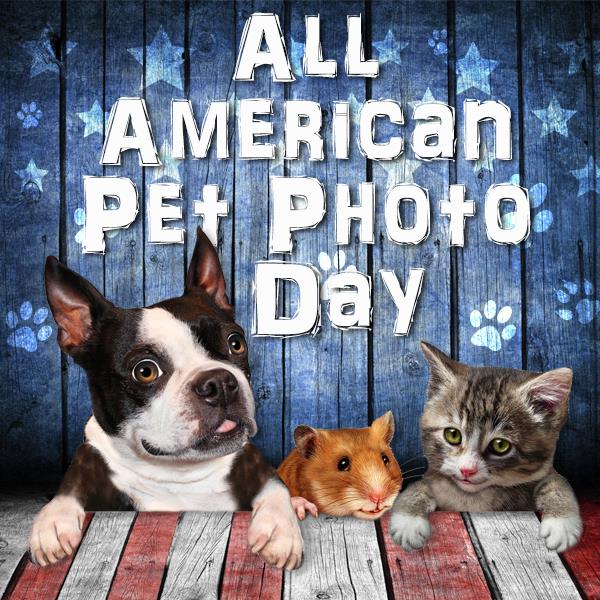 Did you know today is All American Pet Photo day? Share your pet photos with us using #BeOn2!