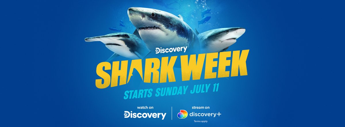 It’s #SharkWeek ALL WEEK LONG on @discovery and streaming on <a href="/discoveryplus/">discovery+</a>! 🦈 Dive beneath the surface and learn some fin-tastic fun facts in our @sharkweek channel and plunge into classroom-ready programming available the weekday after premiere >> bit.ly/2D53wWW