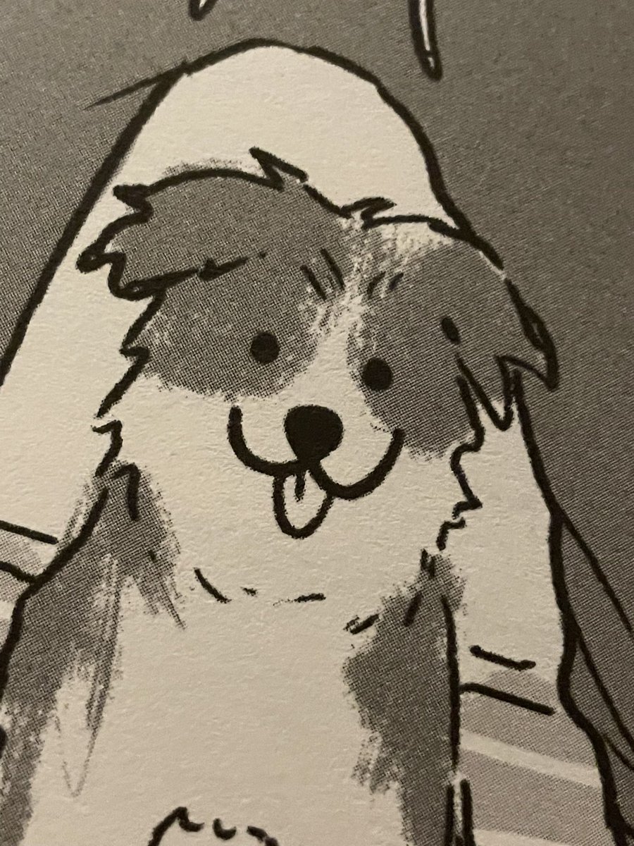 Bork! Bork! #Heartstopper #HeartstopperIsComing