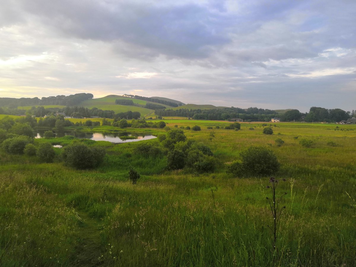 gillianeswan's tweet photo. Sunday night stroll to clear my head and reset ready for the week ahead.... Oh and escape the footie! 🤣 I absolutely love the light at this time of the evening 😍#VisitScotland #lovewhereyoulive #hametowntourist #ScottishBorders https://t.co/gJkWecnrPH
