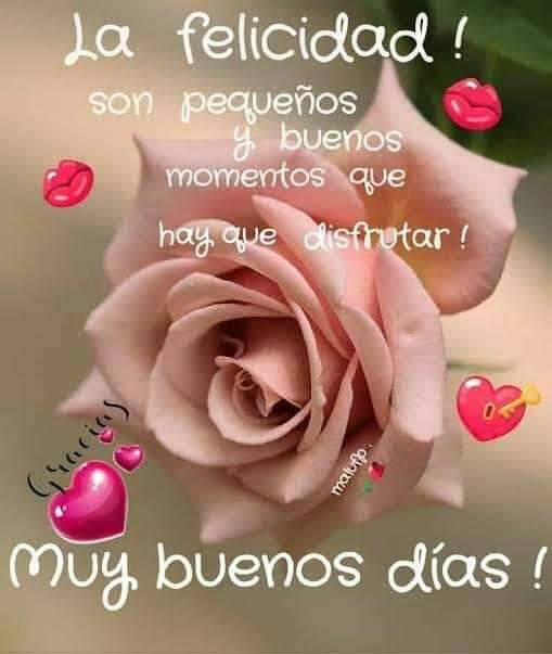 D'AlbaVic 🇲🇽🇲🇽🇲🇽 tweet media