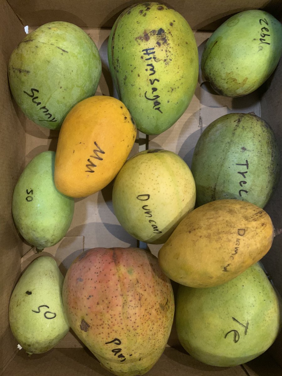 Michael K. Rasser, PhD tweet media