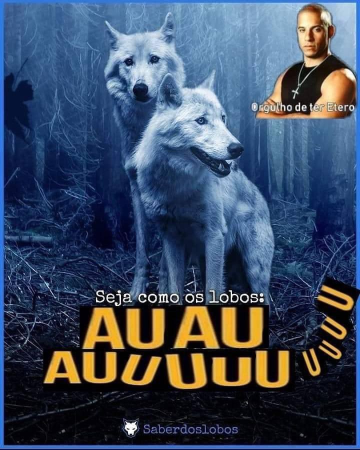 orgulhoteretero's tweet image. 
