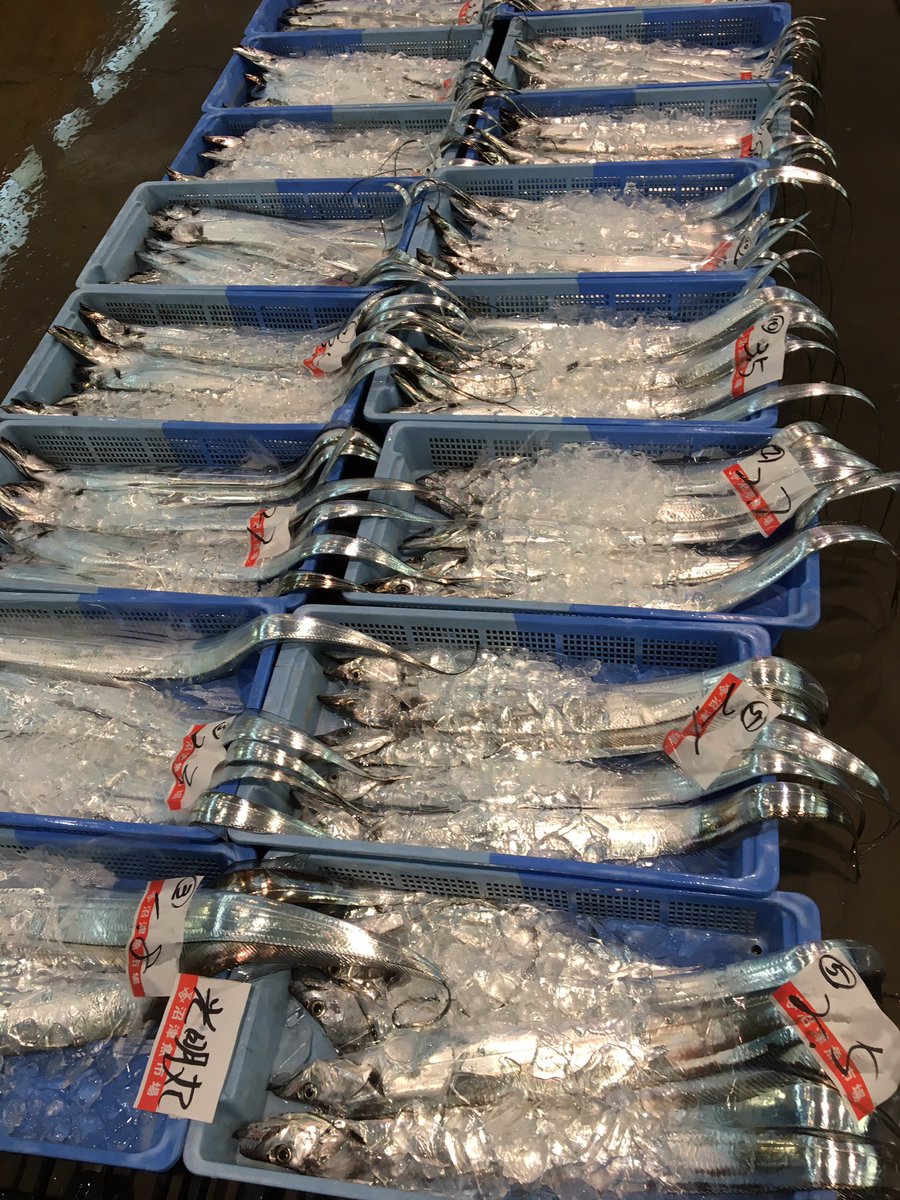 沼津魚市場 沼津魚市場