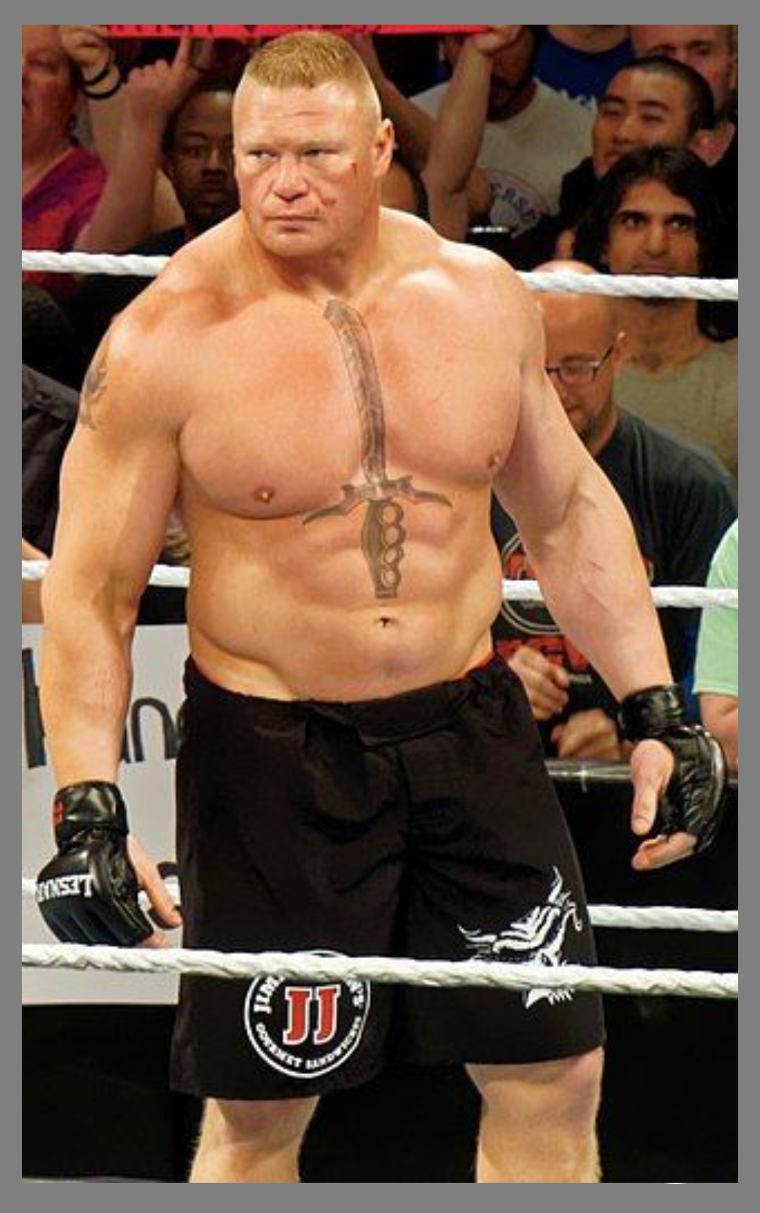   Happy Birthday to Brock Lesnar   