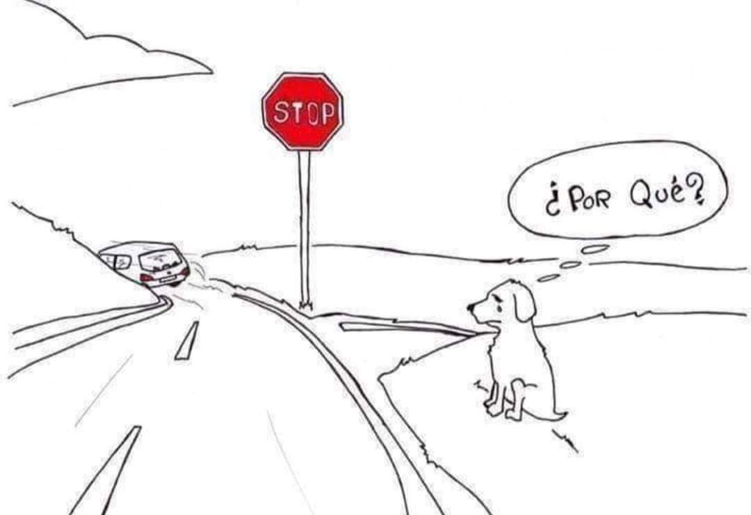 Perroslovers's tweet photo. Nunca lo abandones😔🐶 https://t.co/mER8BIQW5p