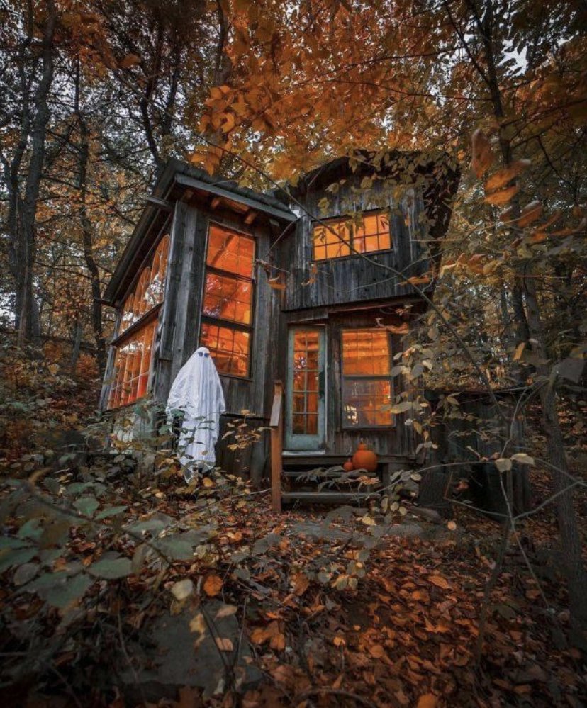 VMundae's tweet photo. I found my #DreamHouse! 👻 https://t.co/0Mllq5qa48