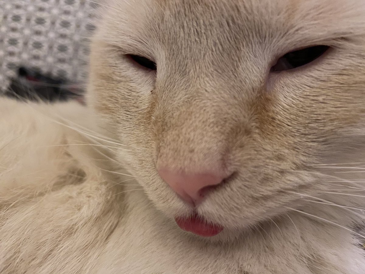 ruby 🪽 tweet media