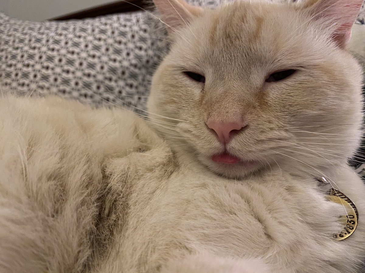 ruby 🪽 tweet media